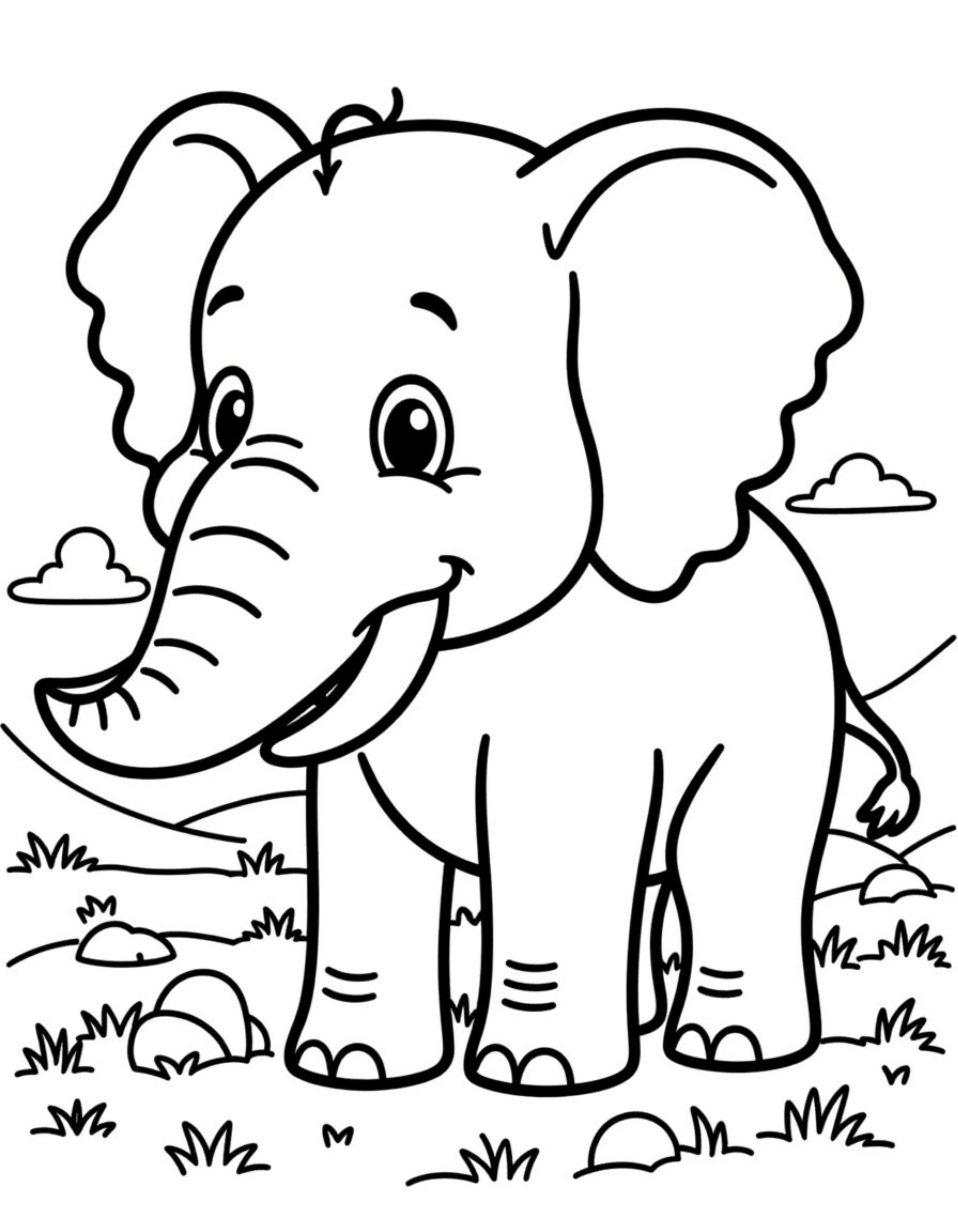 Animal Coloring Book