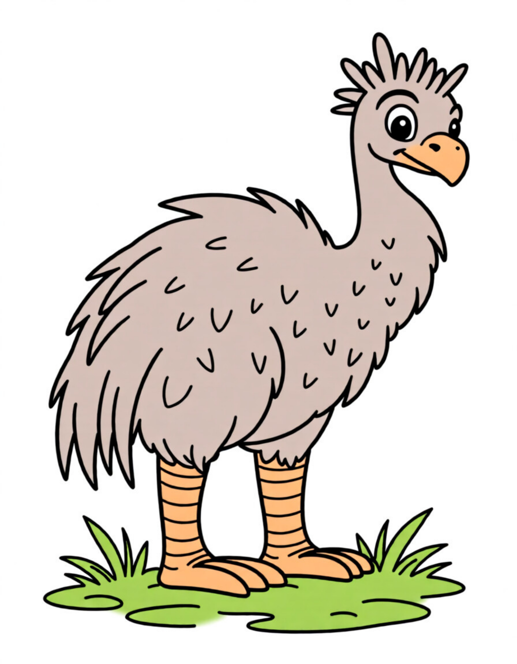 Animal Coloring Book